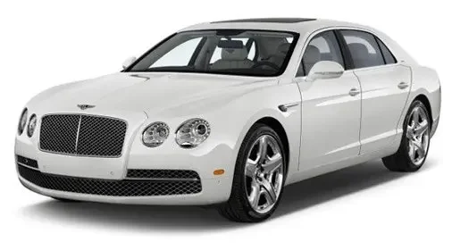 hamilton limousine service